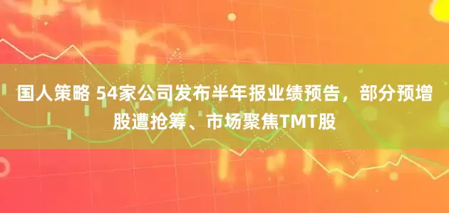 国人策略 54家公司发布半年报业绩预告，部分预增股遭抢筹、市场聚焦TMT股