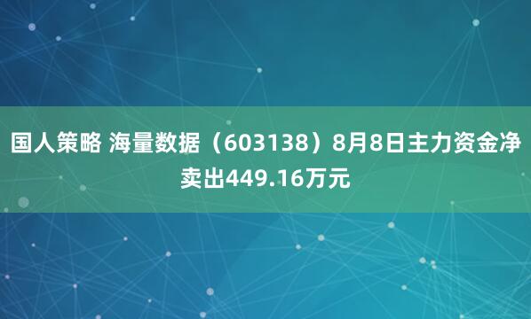 国人策略 海量数据（603138）8月8日主力资金净卖出449.16万元